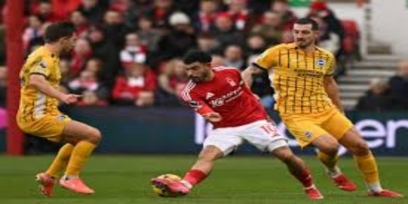 曼联的遗憾与布莱顿的收获- 星空博彩