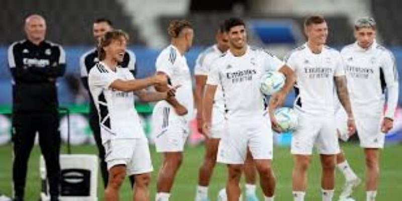 天才中场的崛起之路-星空博彩