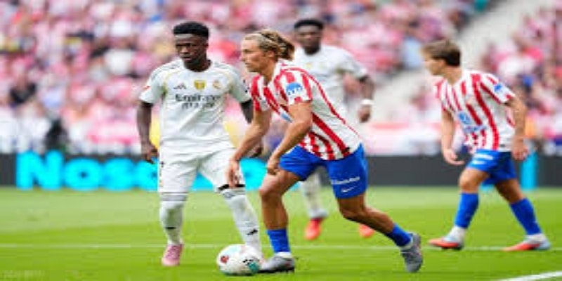 未来展望与应对策略- 星空博彩