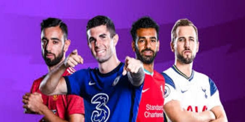 数据透视与专家观点-星空博彩